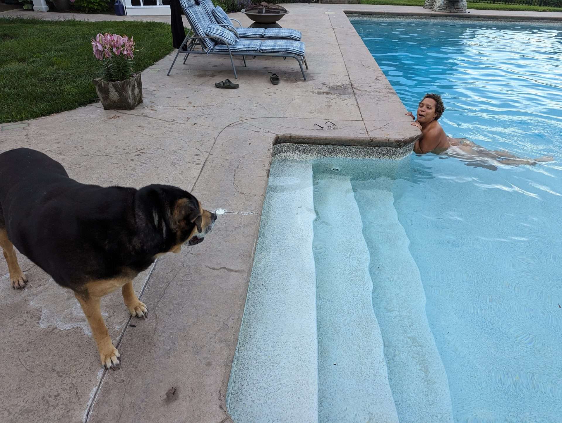 Rufus going to take a swim